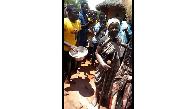 Mapurisa oyambira anatsikamutanda