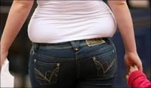 The set of our body parts we call love handles are known as external obliques
