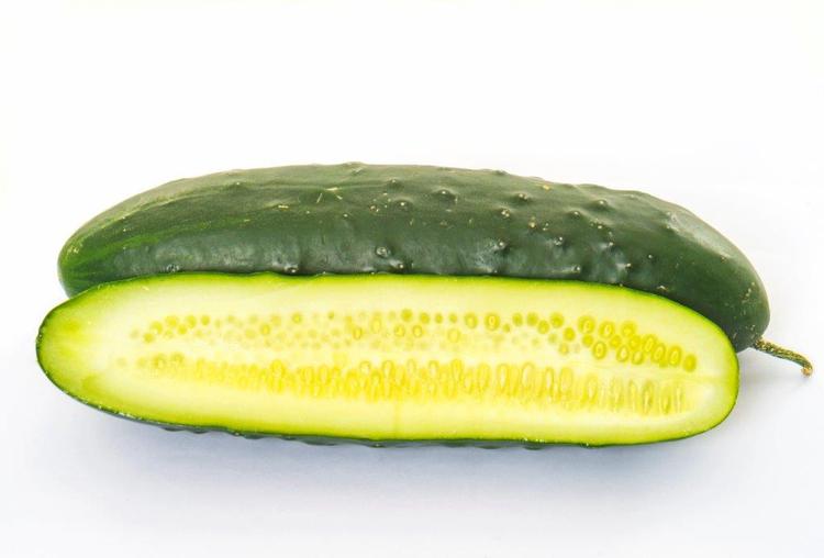 Kurima magaka ePrime Seed Co