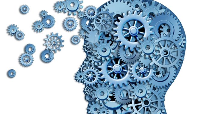 Human capital development key in fulfilling vision 2030