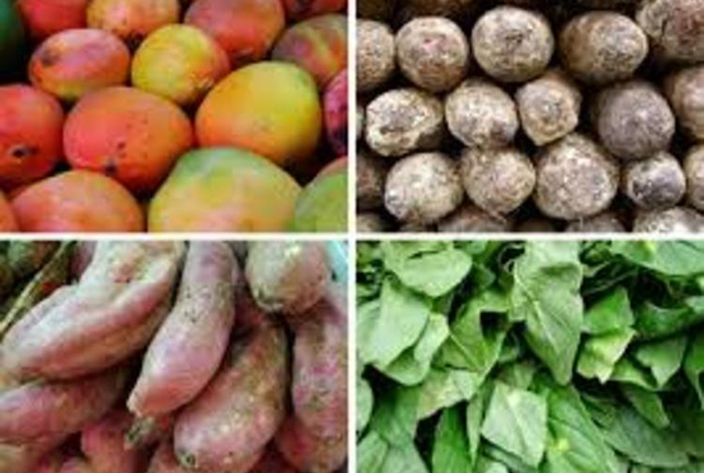 Good nutrition is important for HIV positive children