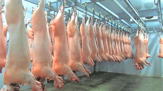 Pig Symposium 2019: Value chain under spotlight