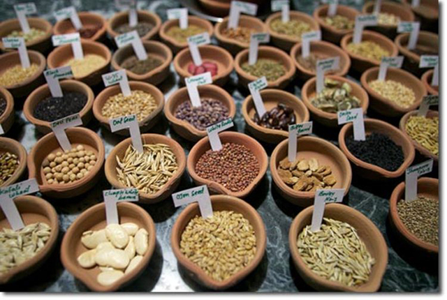 NGO scales up community seed banks construction
