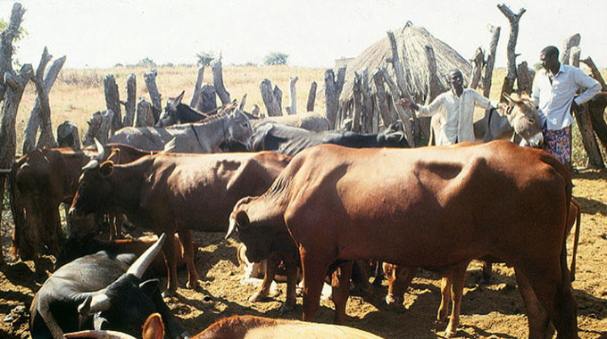 NEW BLOG – (UNDER THE EAVES with Igomombe) Zimbabwe: Hello! How do you do?