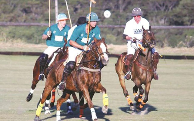 Zimbabwe has a history of world class achievements in polo. Today, South Africa is ranked number one in polo and Zimbabwe is second