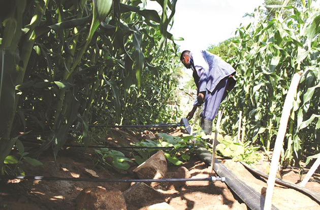 The fight to defend land reform and to feed the nation is far greater than any leadership position