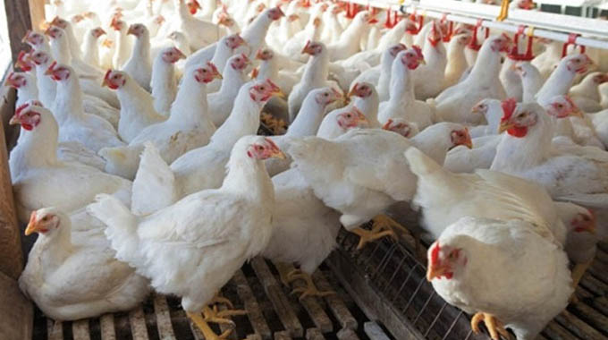S.Africa raises poultry-import tariffs
