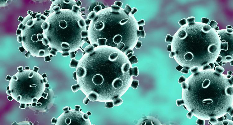 Maonero edu: Coronavirus – Tose tine basa