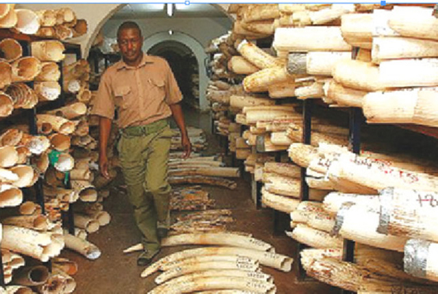 CITES: Ivory trade ban criticised