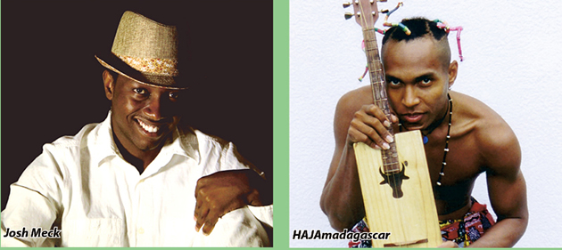 Zim meets Madagascar in music collab