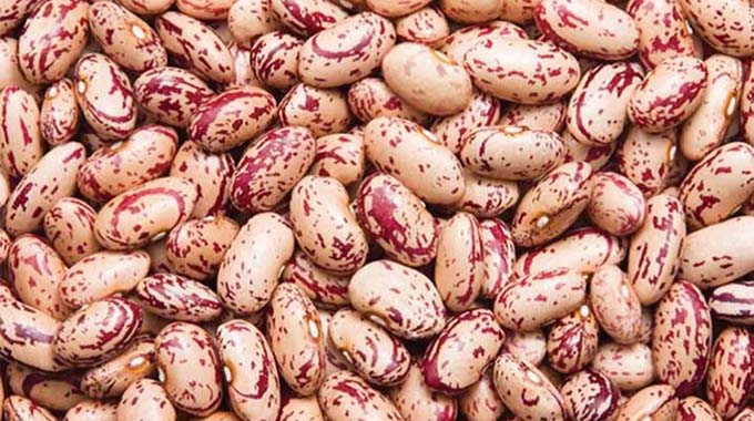 Kuriritira sugar beans