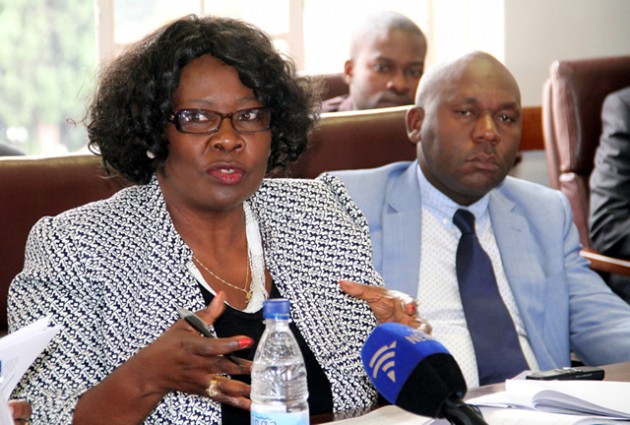 Bankers Association of Zimbabwe president Dr Charity Jinya (left) addresses members of the Parliamentary Portfolio Committee on Finance and Economic Development while Chamber of Mines of Zimbabwe president Toendepi Muganyi looks on yesterday. — (Picture by John Manzongo)