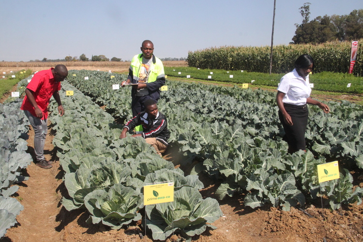 Prime Seed yosimudzira varimi