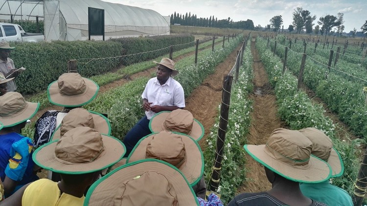 Varimi vakaungana kuPrime Seed Co