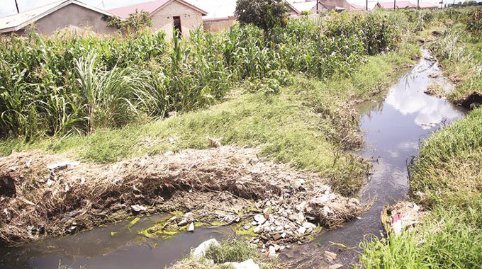 Residents recount wetlands tragedy