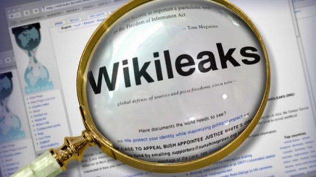 0703-1-1-WILILEAKS2