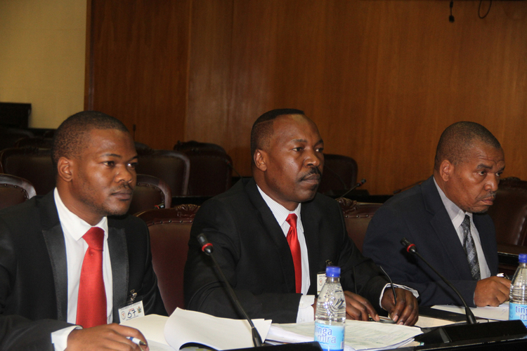Parly should intensify oversight role