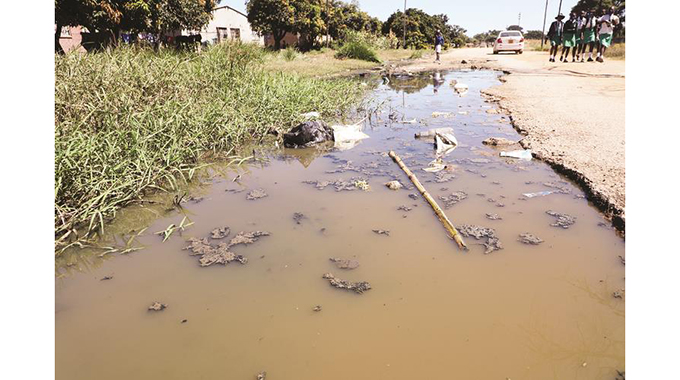 BCC needs US$500m to resucitate its sewer reticulation system