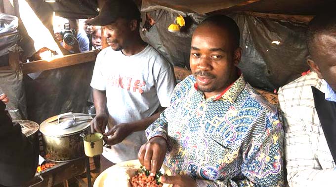 Chamisa’s grandstanding much ado about nothing