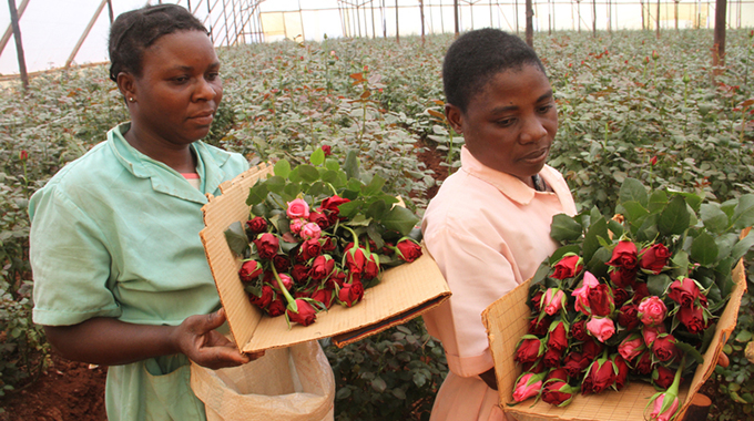 US$1bn exports may bloom from horticulture