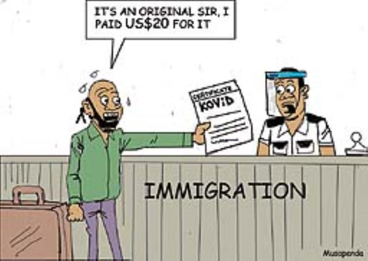 THE HERALD CARTOON 1 TUESDAY 8 DECEMBER 2020.jpg
