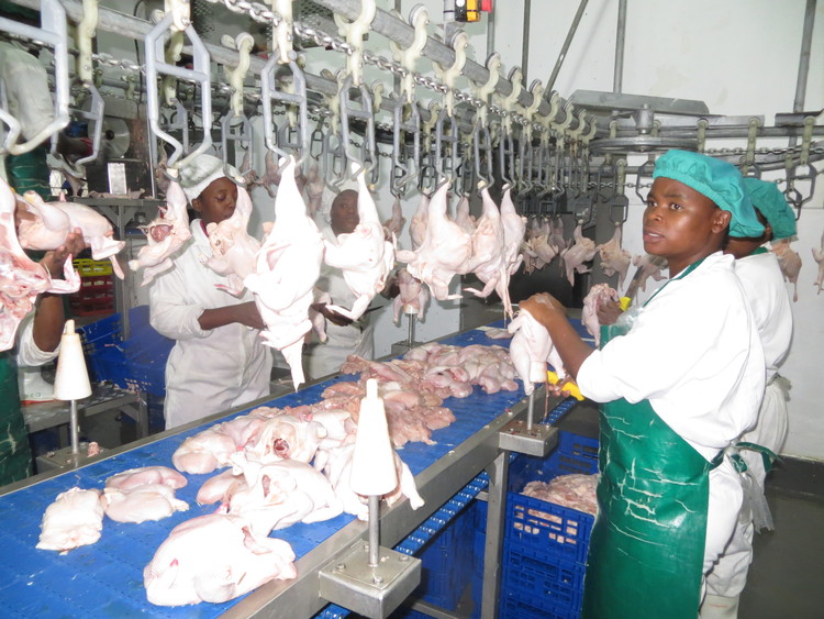 Mutengo wenyama wakakwira