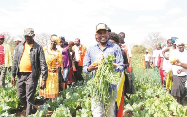 Cde Justice Mayor Wadyajena tours Mbumbusi Garden in Ward 13 Gokwe Nembudziya last Saturday