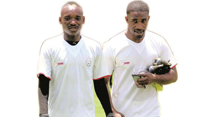 HIGH-FLYING WARRIORS