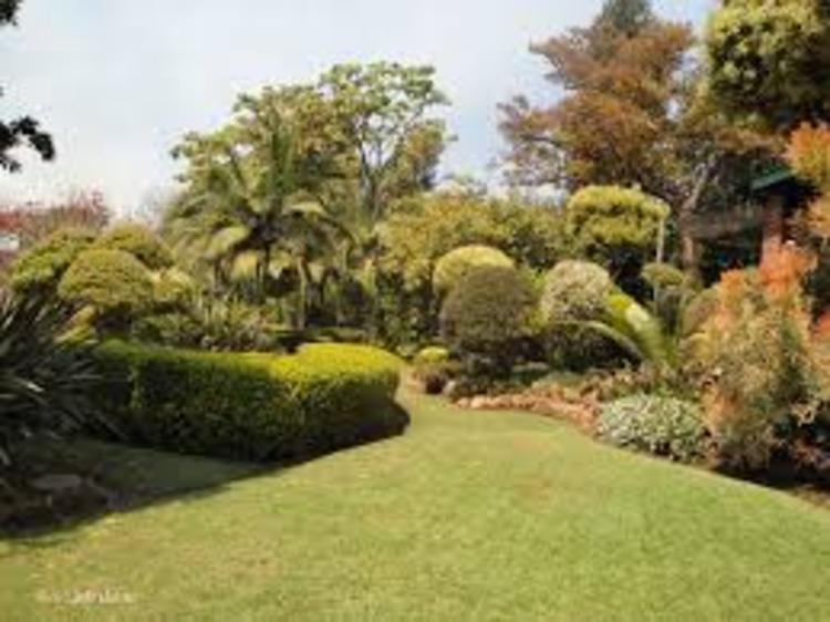 The concept of green space as espoused by the Harare Gardens is becoming increasingly important in town planning