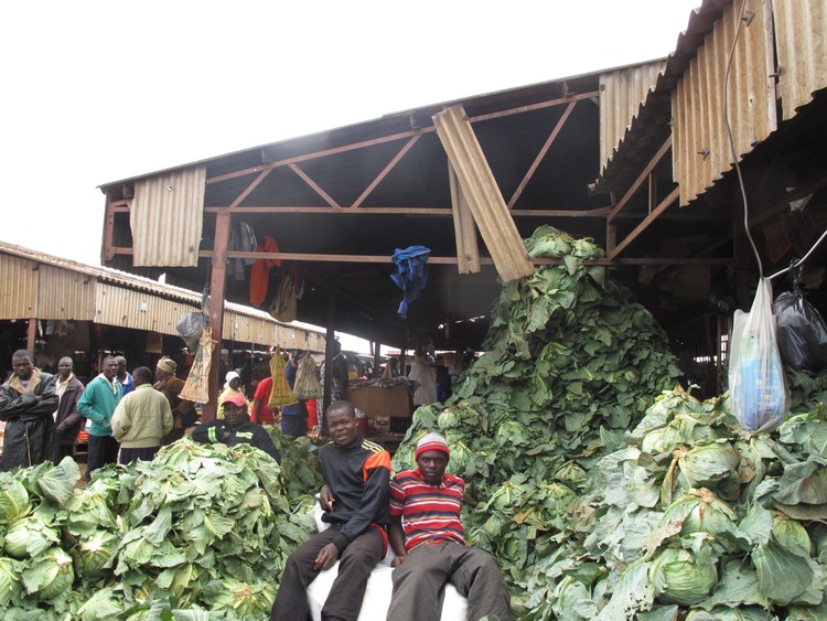 agriculture VENDOR 2