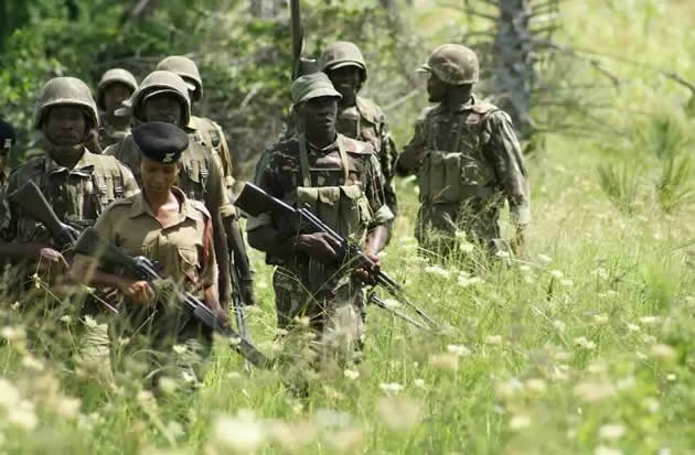 Hunt for Al-Shabaab in vast forest on course