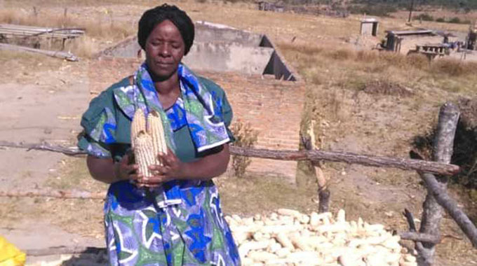 Goho rinotangira kumbeu