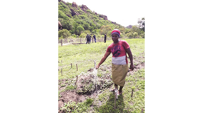 Solar, water boost for Matobo