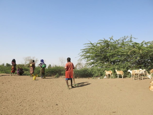 In semi-arid areas, climate information that is tailored to farmers’ needs can reduce their vulnerability to climate change. - Lucia Scodanibbio