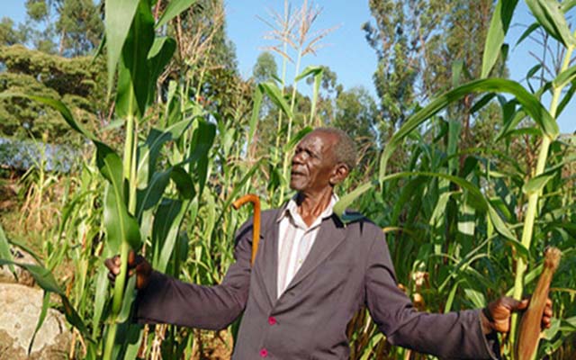 A traditional rainmaker in Kenya. How can indigenous knowledge become part of university curricula? Department For International Development/International Development Research Centre/Thomas Omondi/Flickr, CC BY-NC-ND