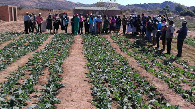 HIT launches new irrigation system