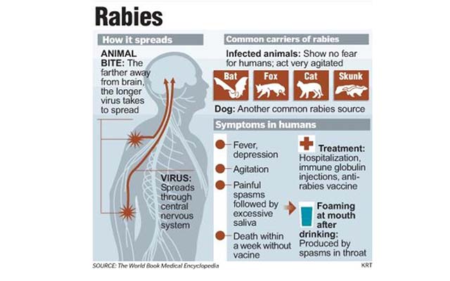 Rabies is a growing problem