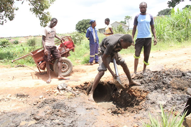 Caledonia Phase 11 Youths are constructing makeshift bridges in their area