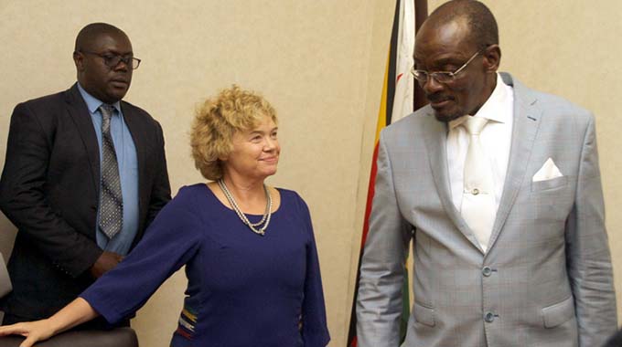 VP Mohadi meets EU, British envoys