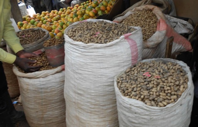 Various scientific disciplines have different methodological approaches. They sometimes have complementary or competing perspectives on complex issues such as nutrition and poverty