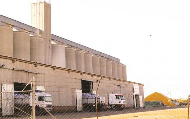 Grain deliveries to GMB depots have increased significantly across the country. Here, trucks deliver grain at Bulawayo GMB depot yesterday