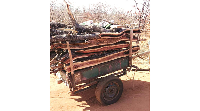 B/Bridge community raises alarm over deforestation