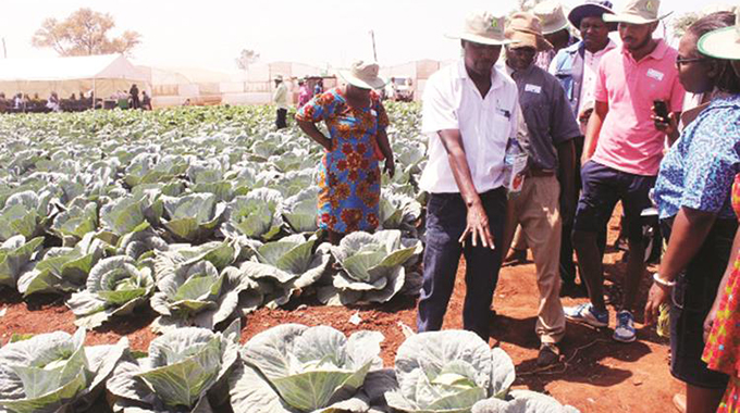 Farmers paying the price for lacking innovation