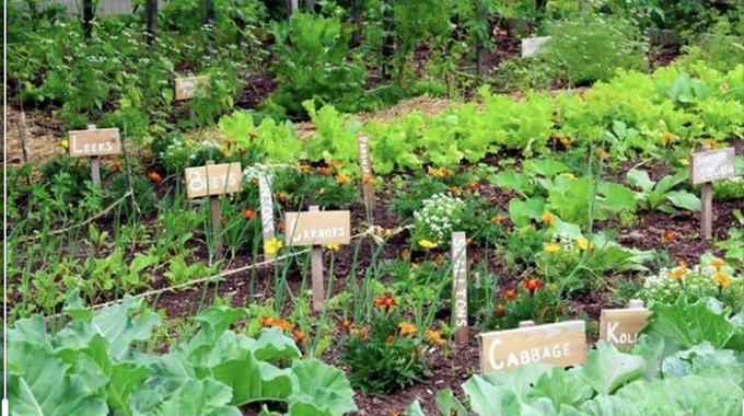 Magic of inheriting, tending a garden