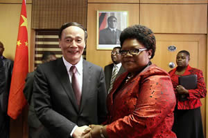 Zim economy has potential — envoy
