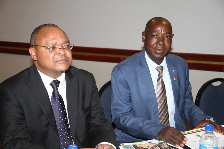 Chikafu chava kuongororwa