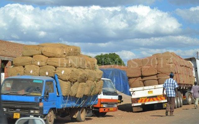 Trucks delivering tobacco to auction floors