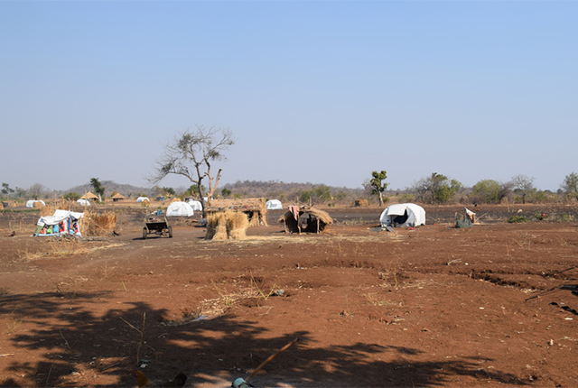 The makeshift structures accommodating some of the Mozambican refugees in Chipinge