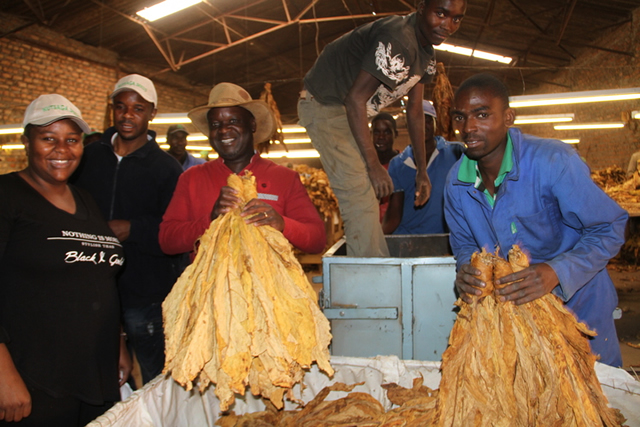 Contract farming: Future for agric