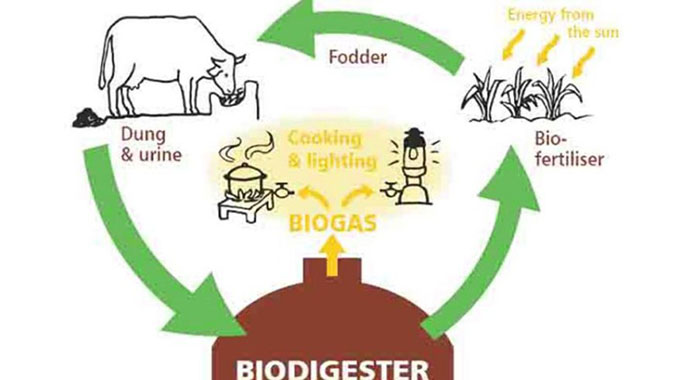 Biogas brings relief, clean energy to Hakwata villagers